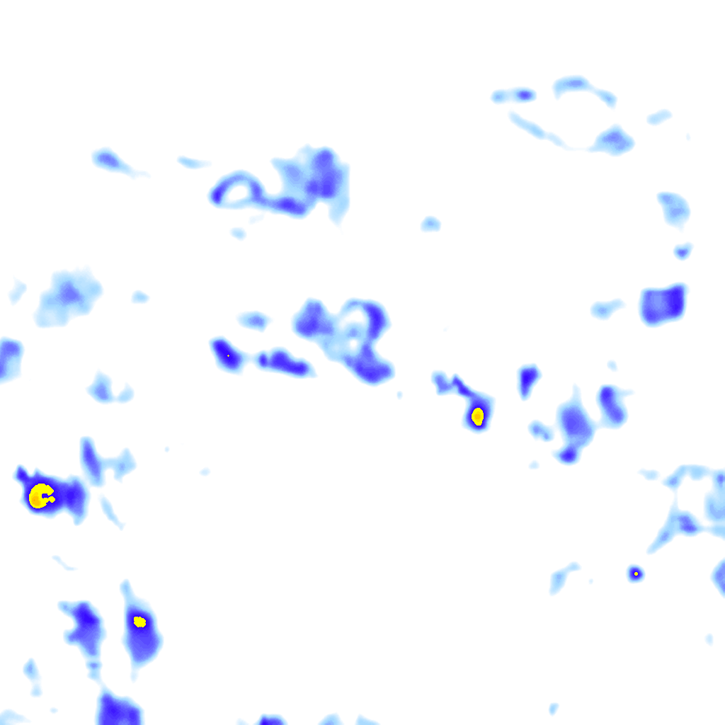 rainLayer