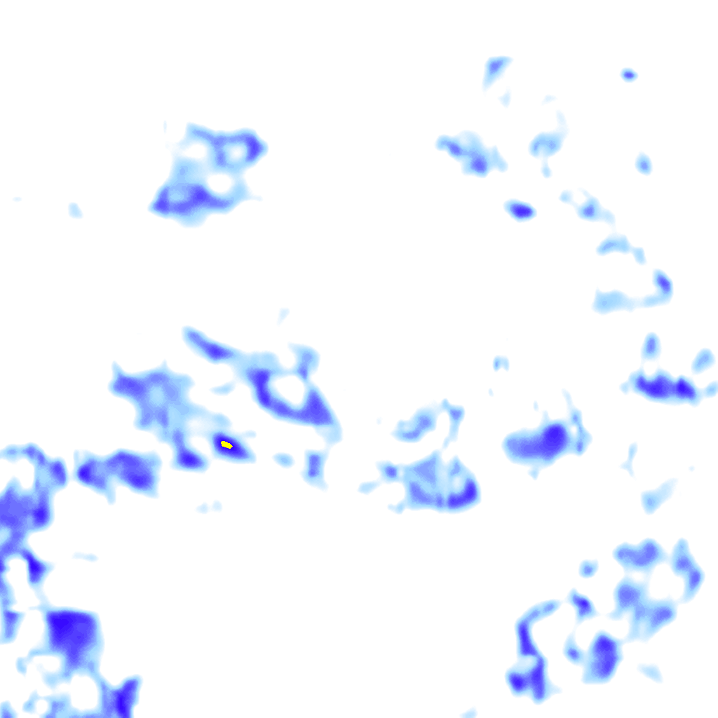 rainLayer