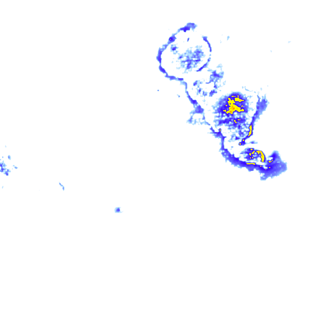 Image Layer