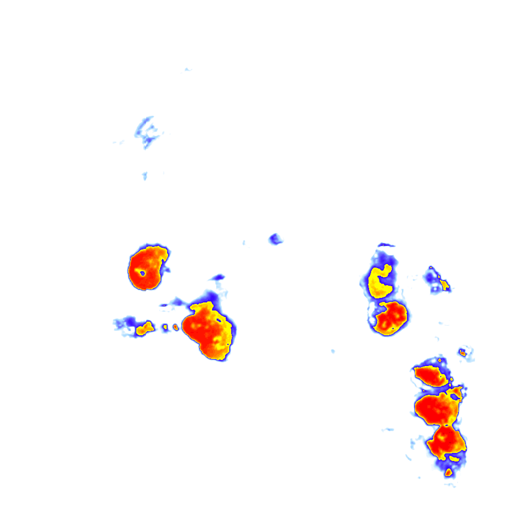 Image Layer