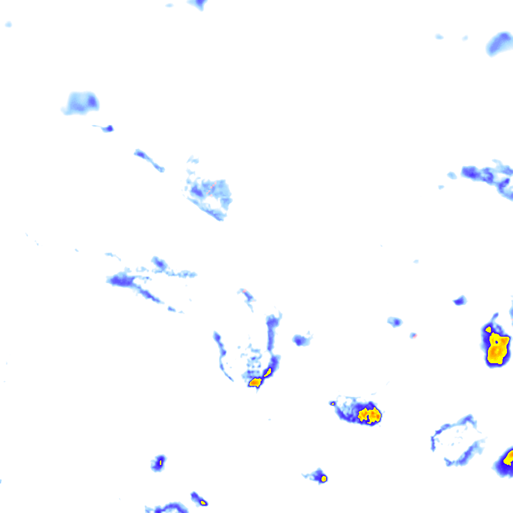 rainLayer