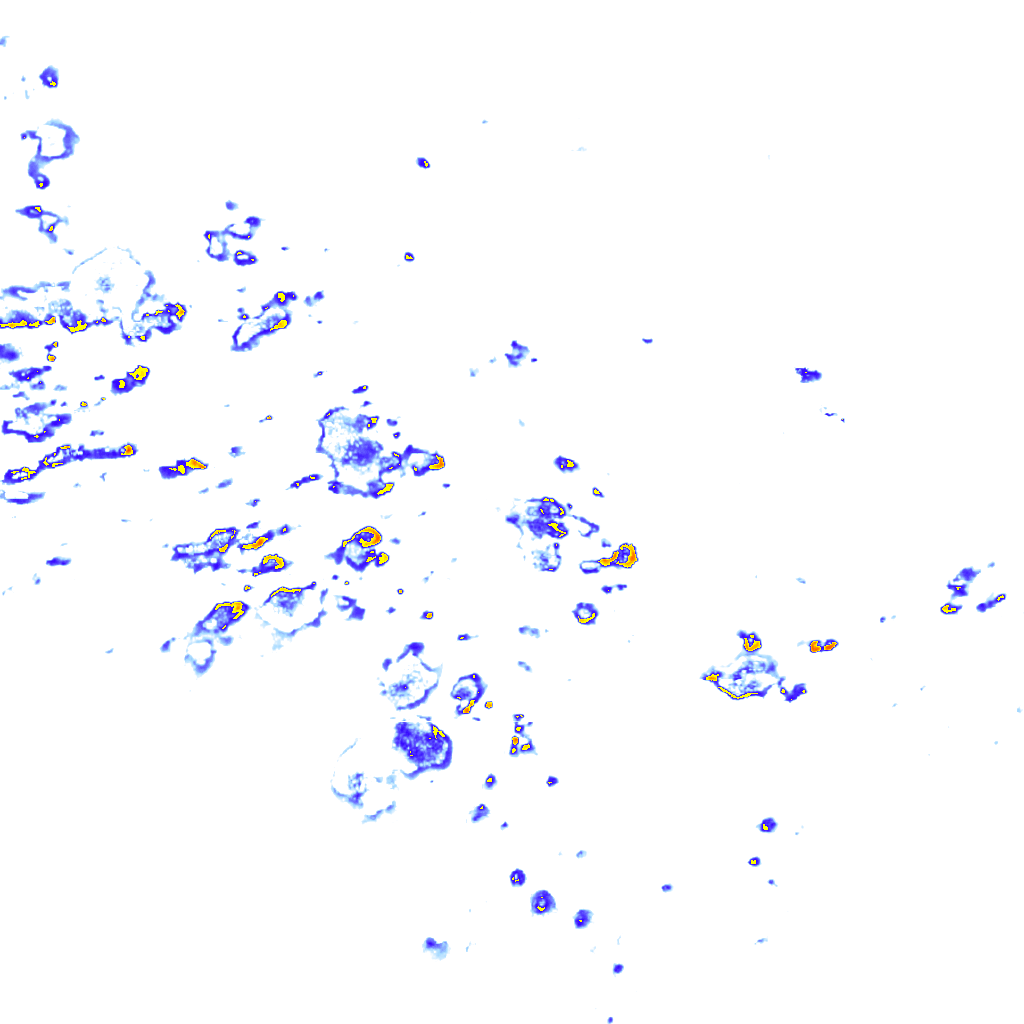 rainLayer