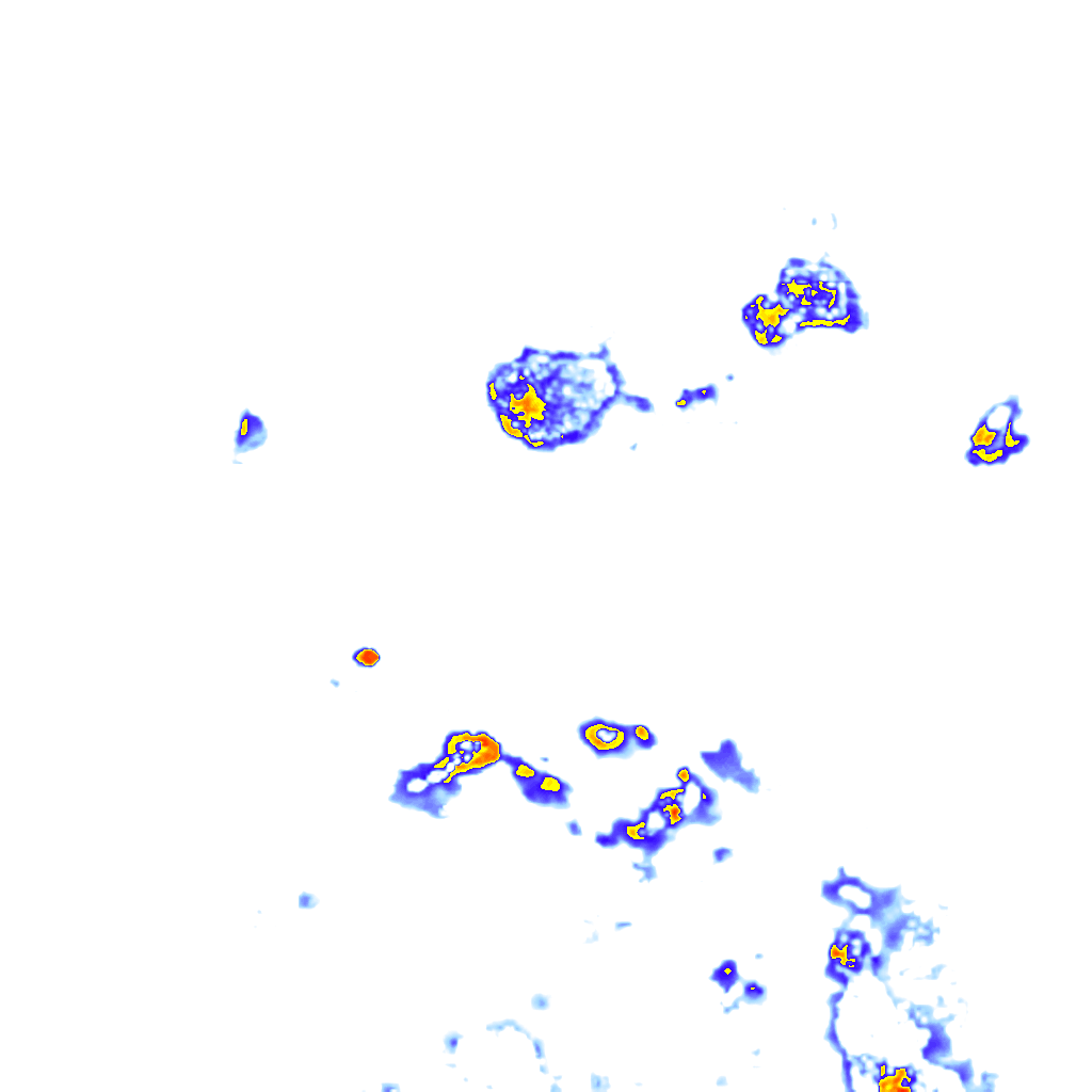 rainLayer