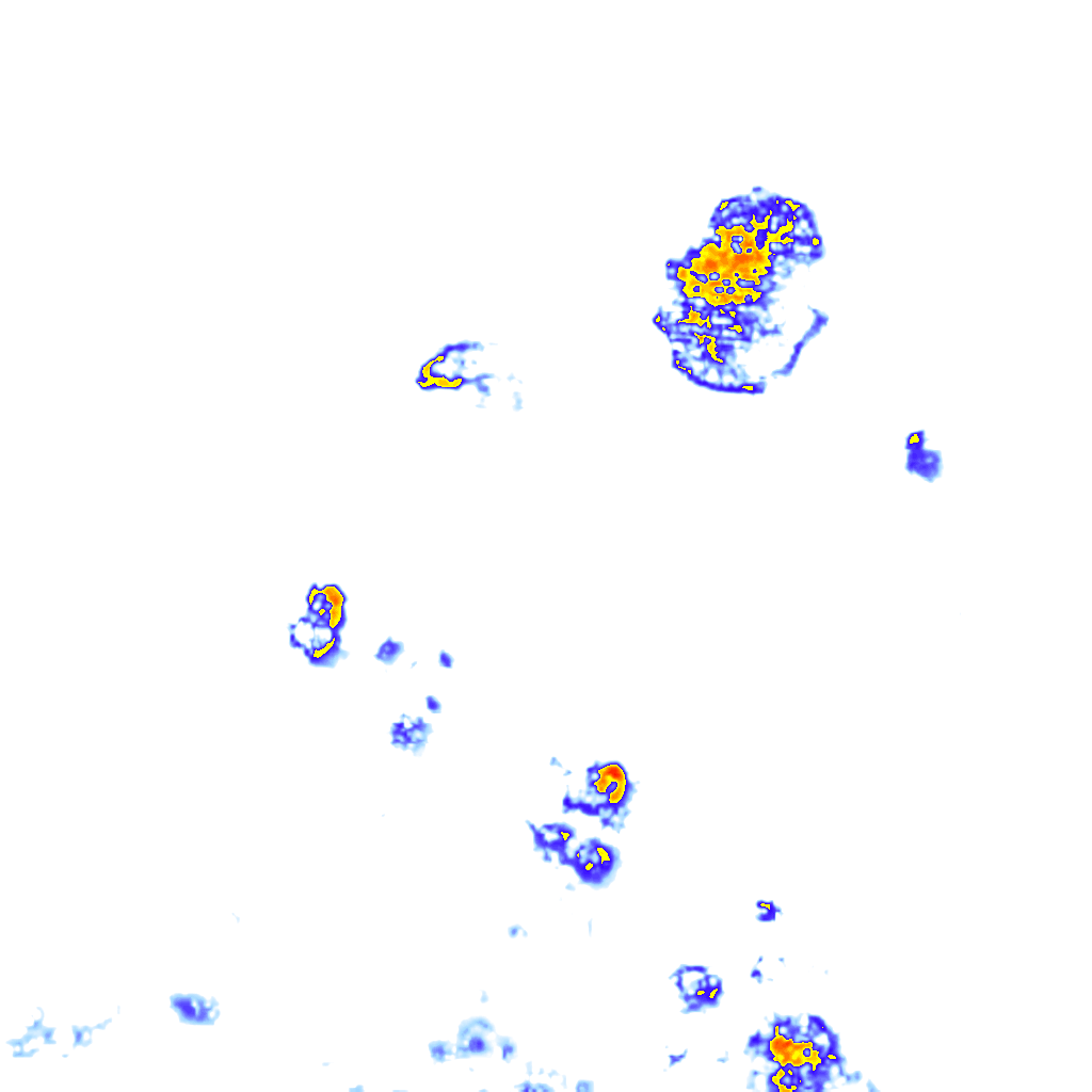 rainLayer