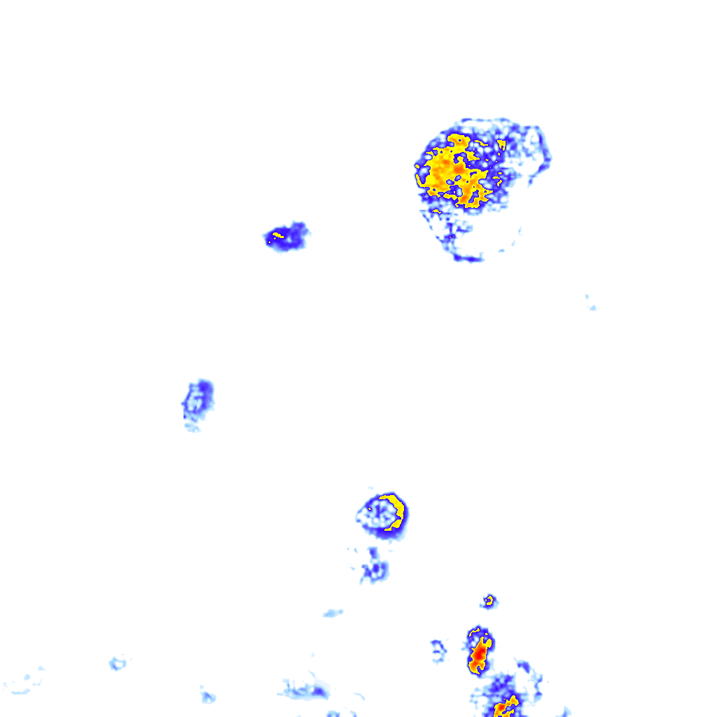 Image Layer