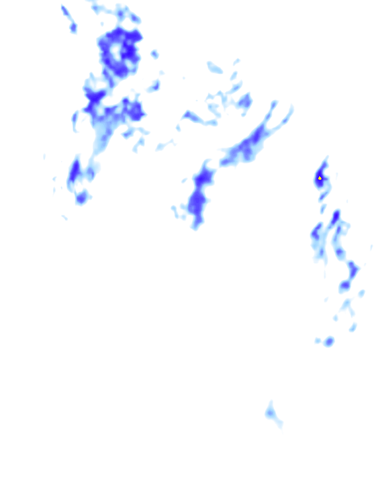 rainLayer