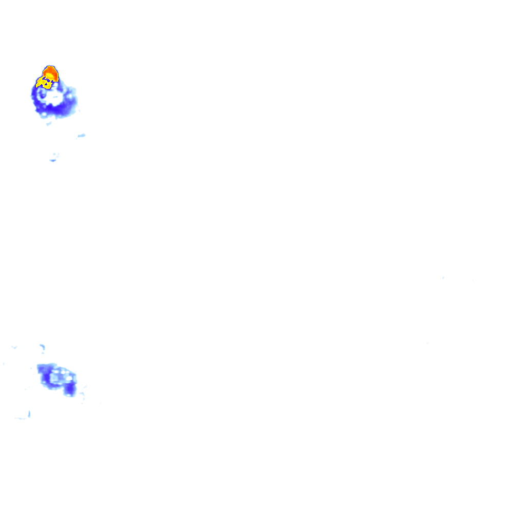 Image Layer