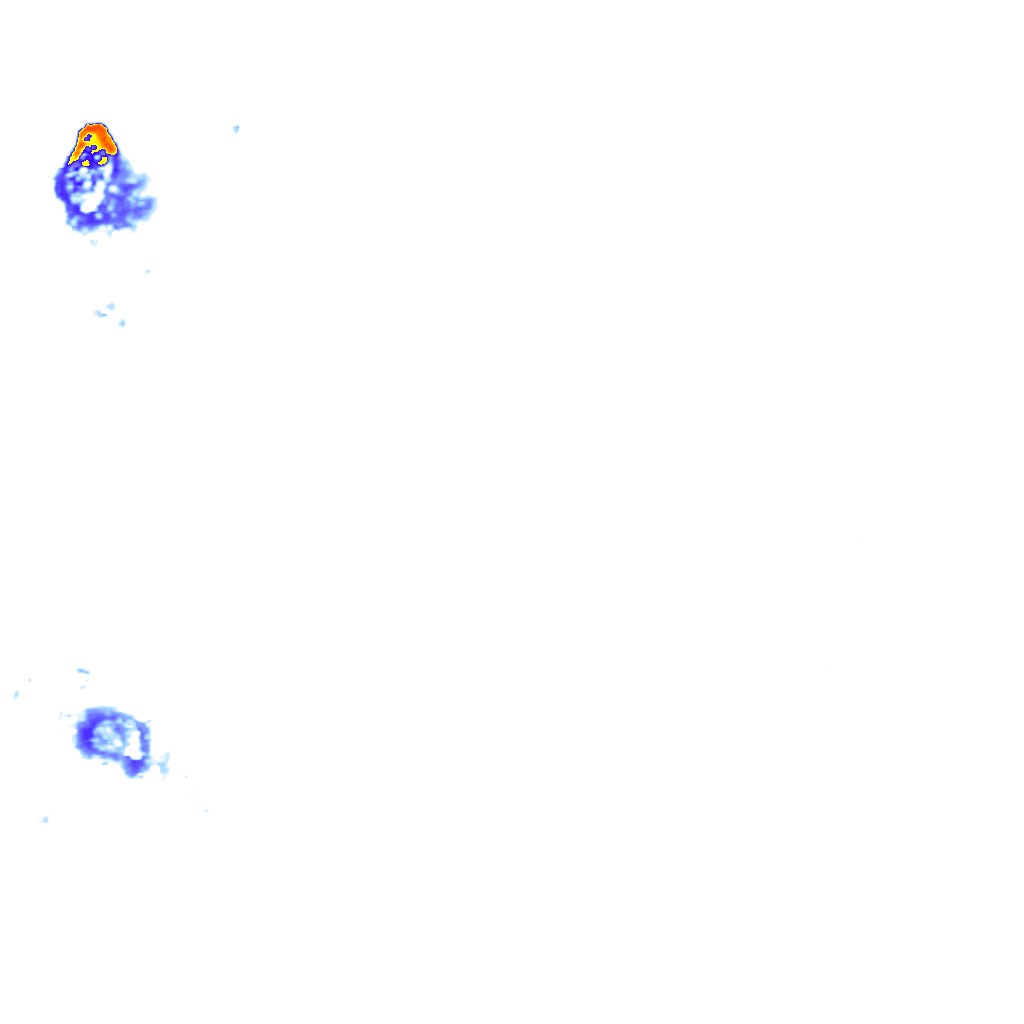 Image Layer