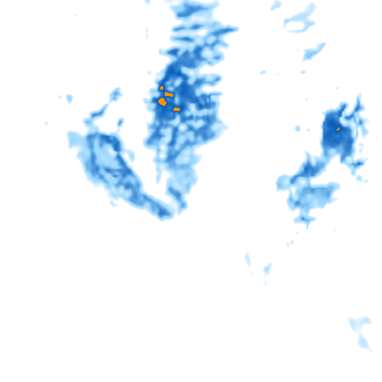 rain layer