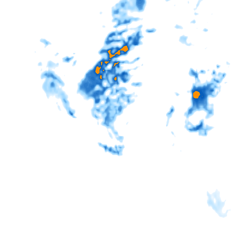 rain layer