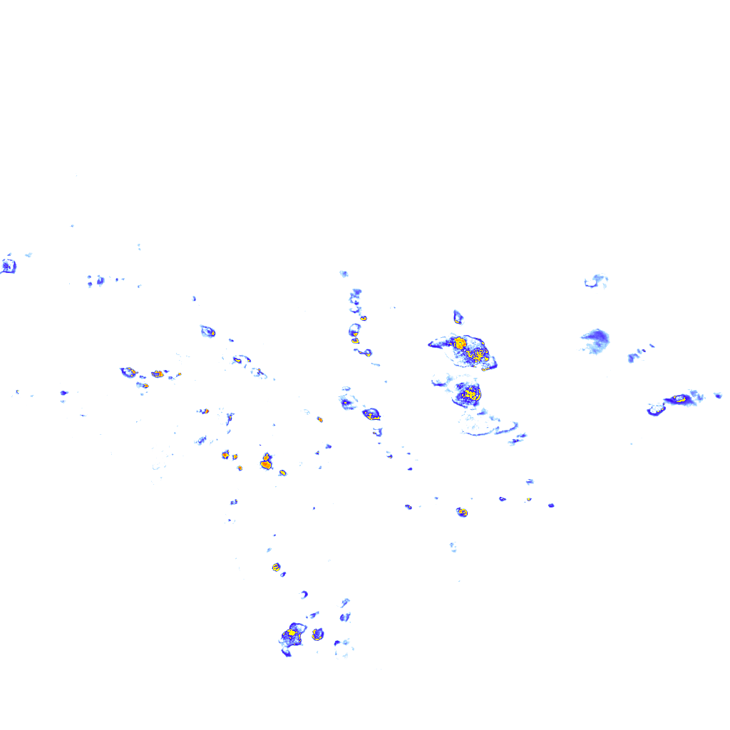 Image Layer