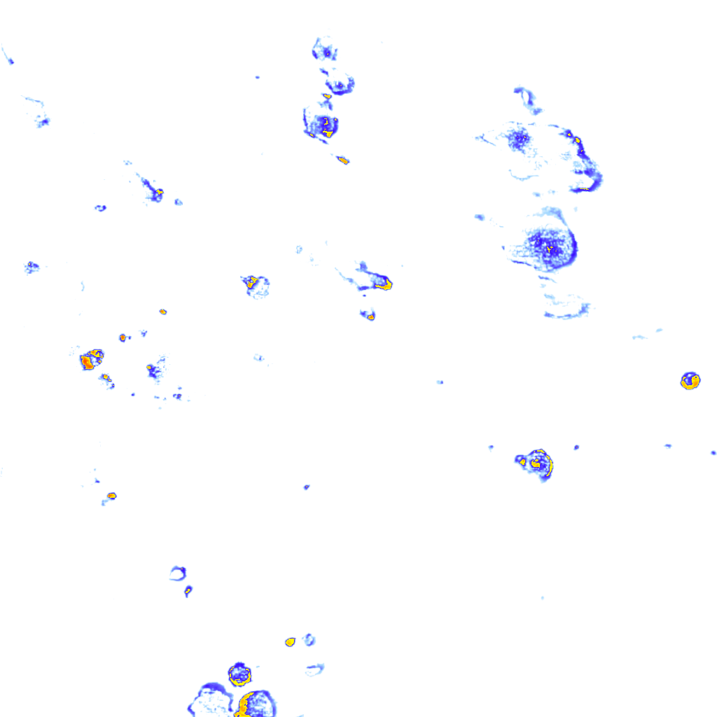 rainLayer
