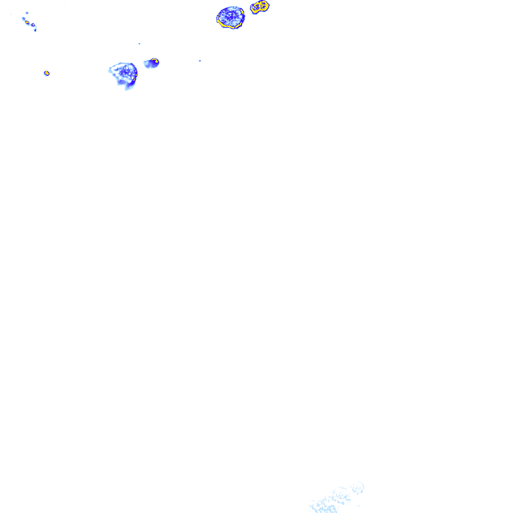 rainLayer