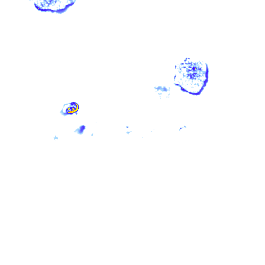 Image Layer