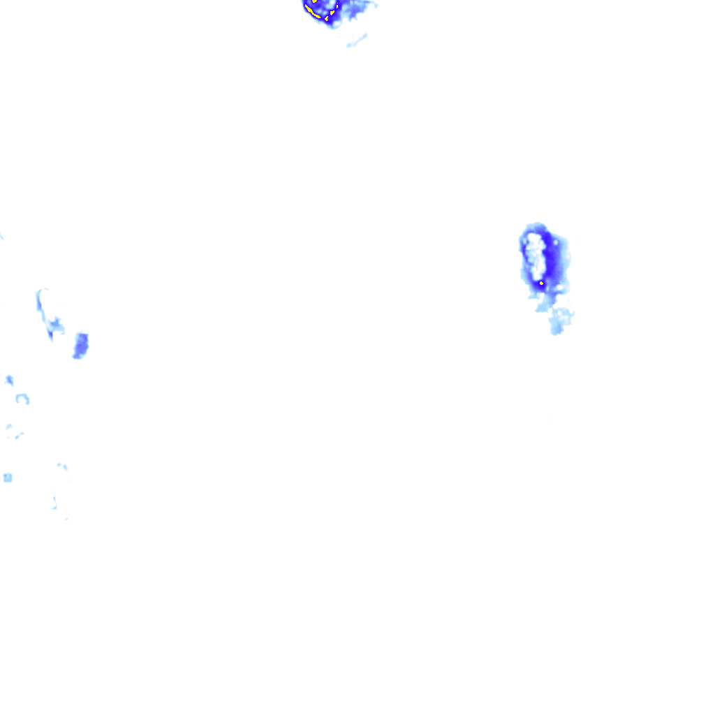 rainLayer