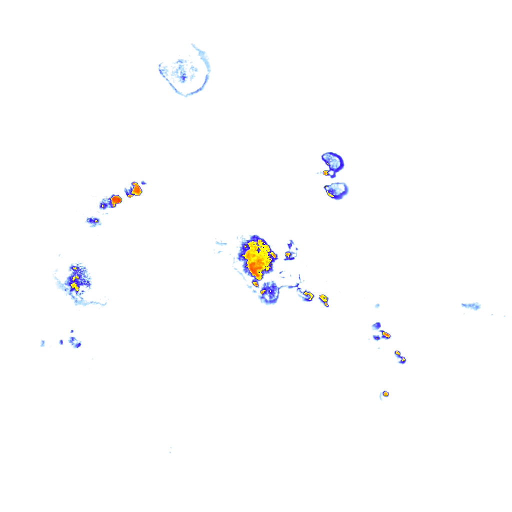 rainLayer