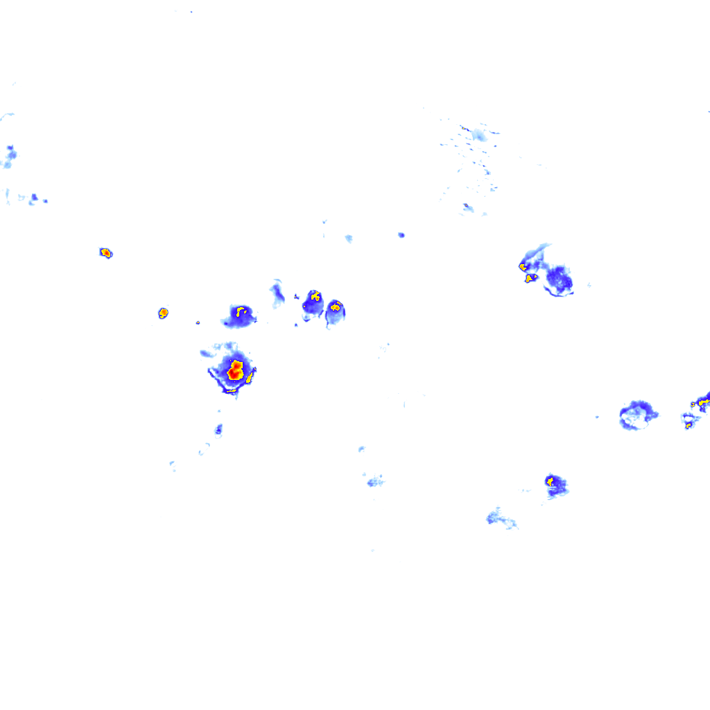 rainLayer