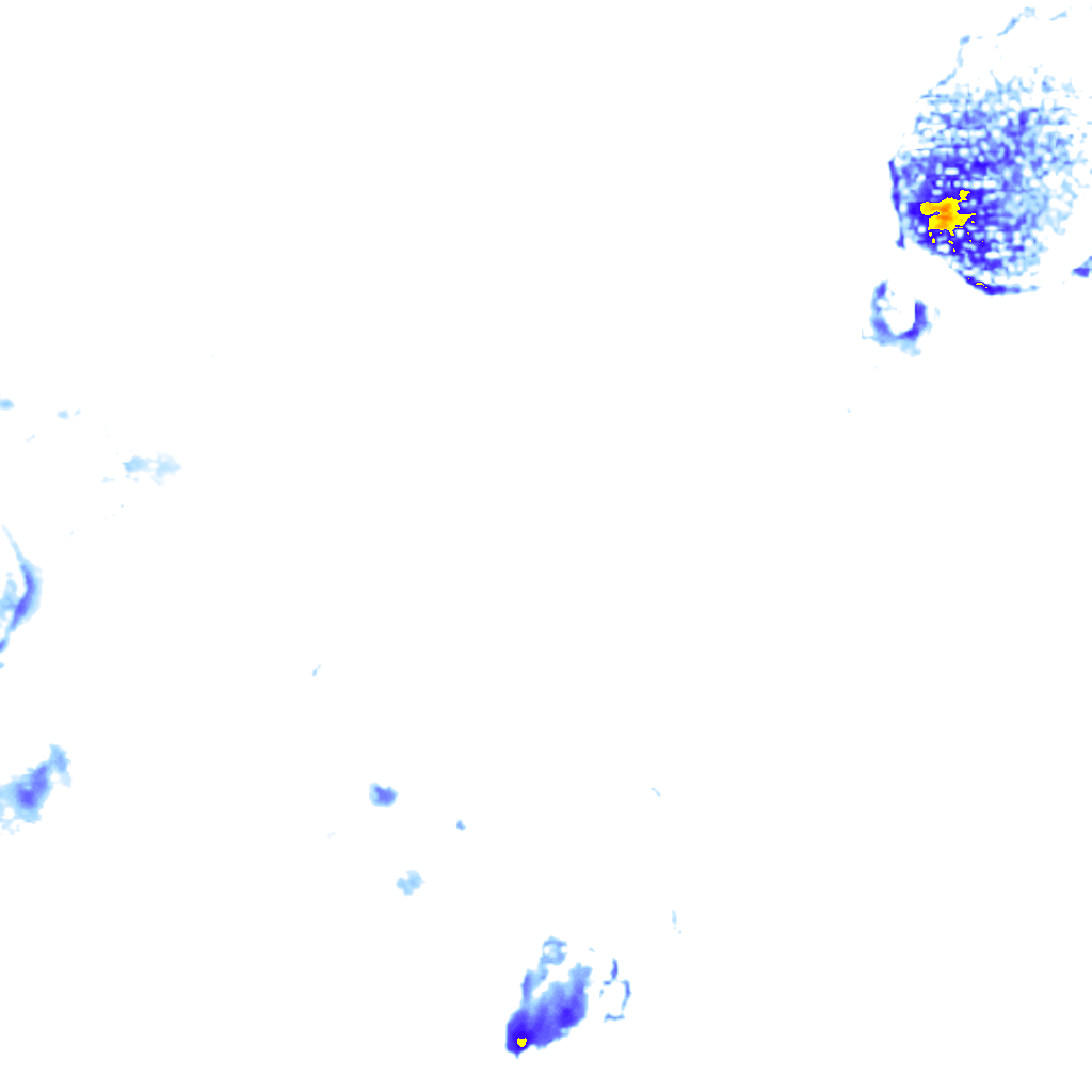 rainLayer
