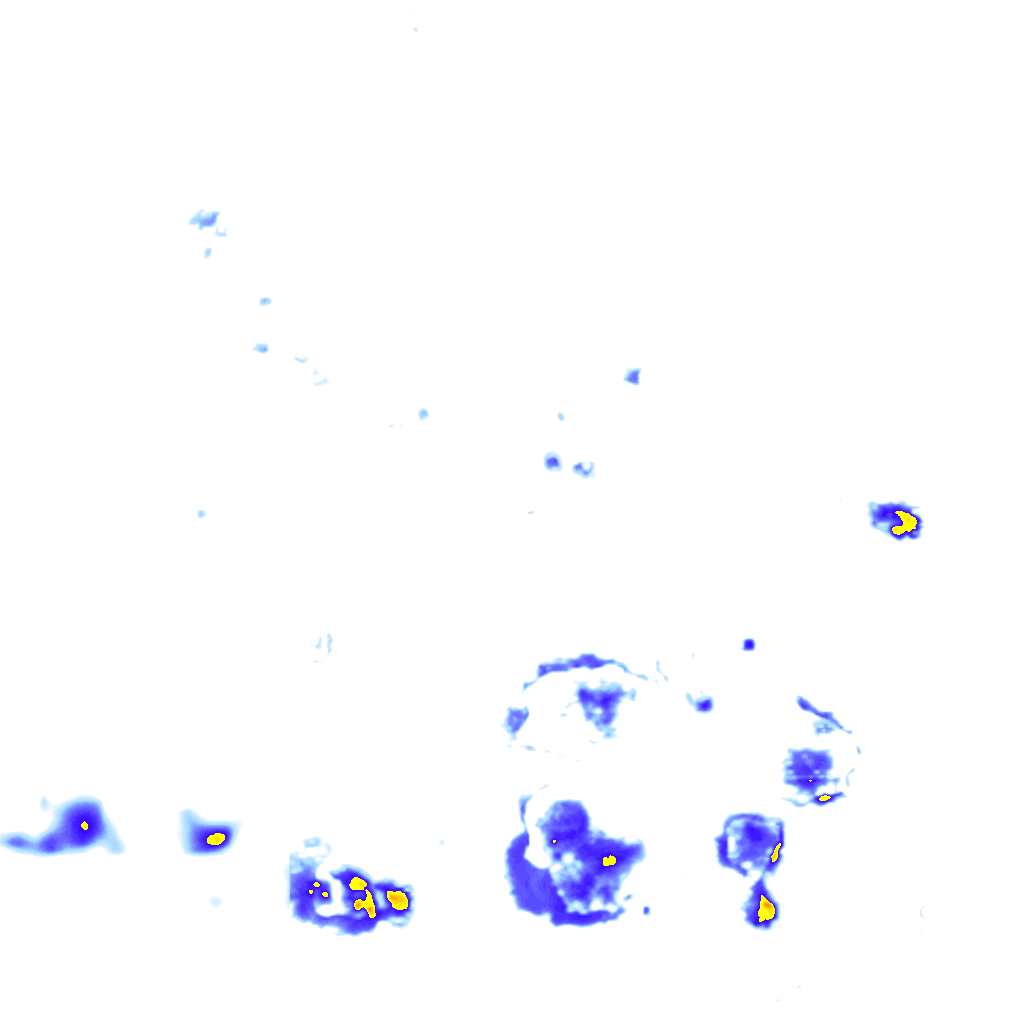 Image Layer