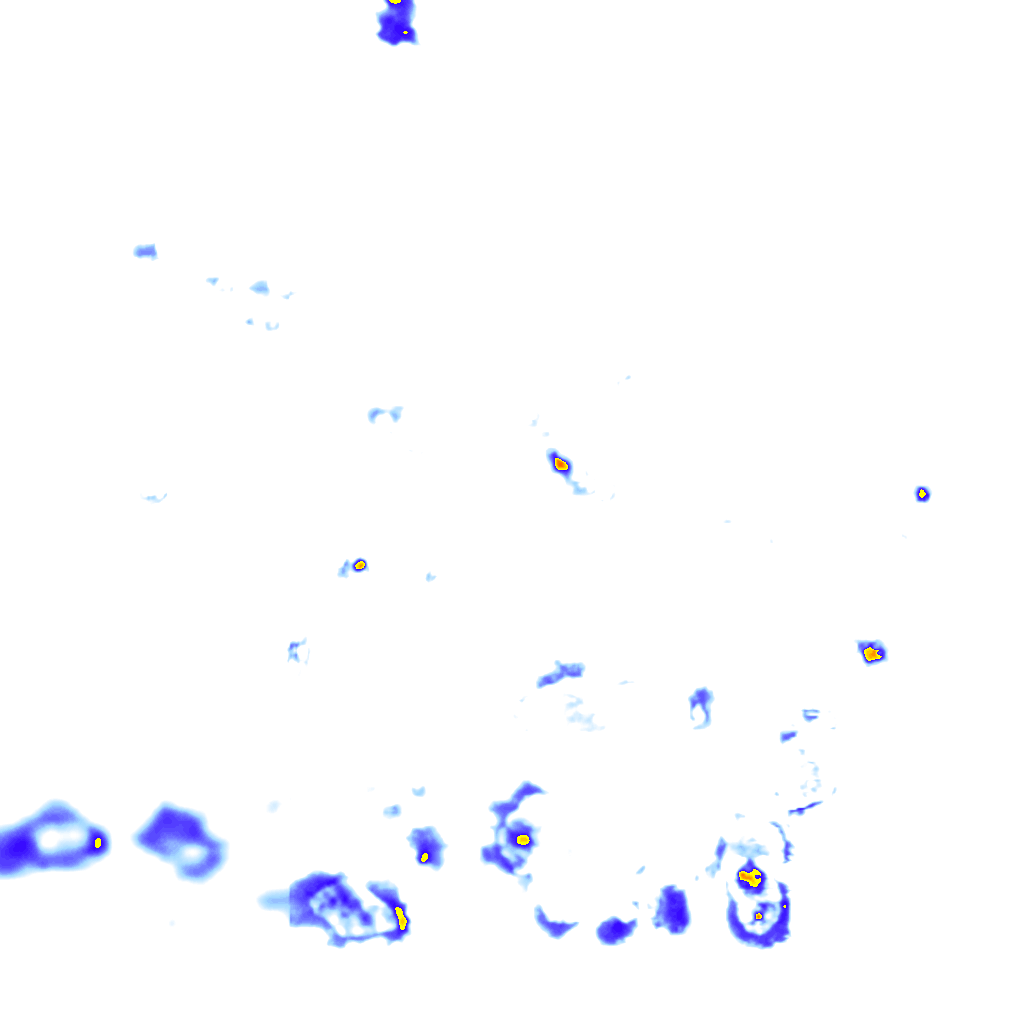 rainLayer