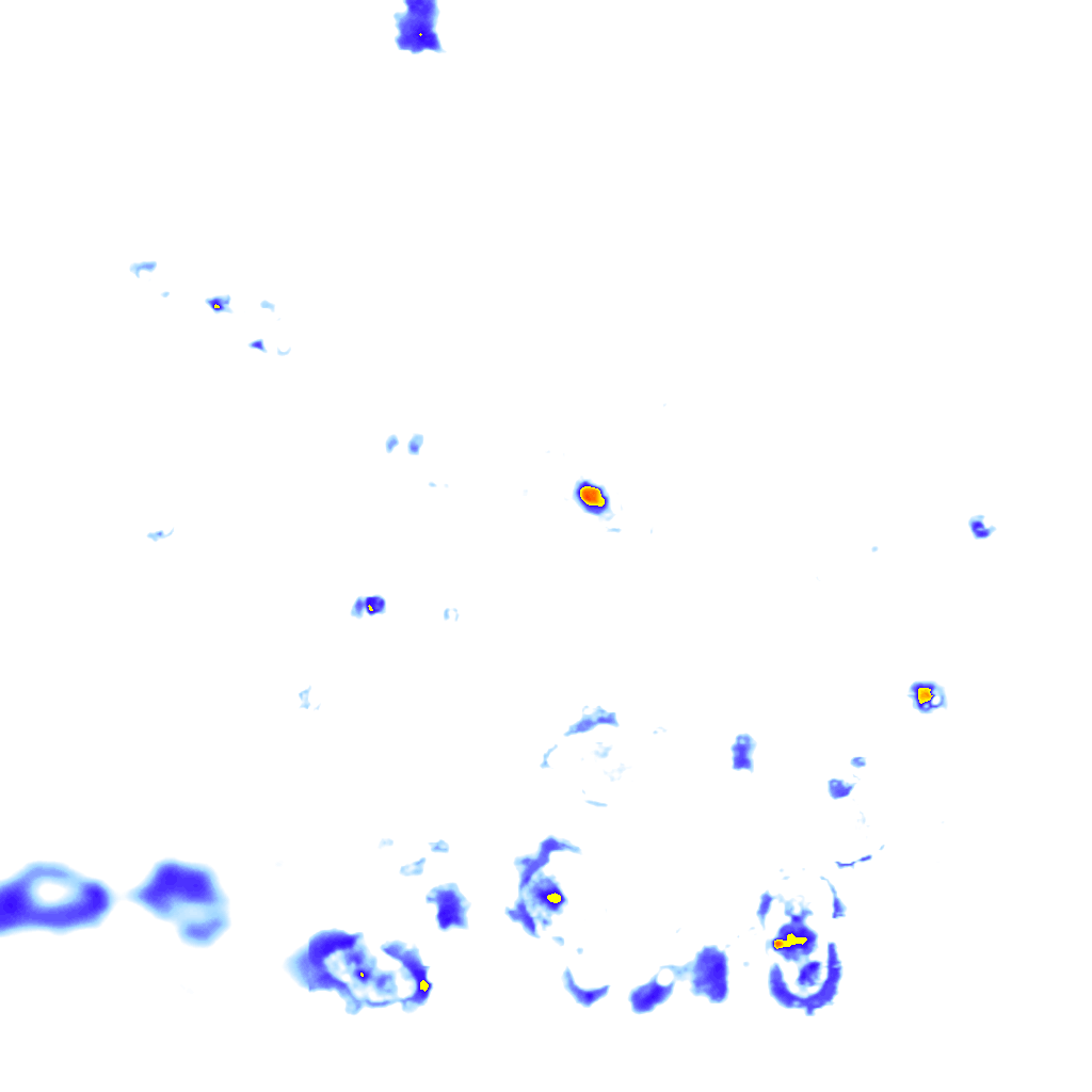 rainLayer