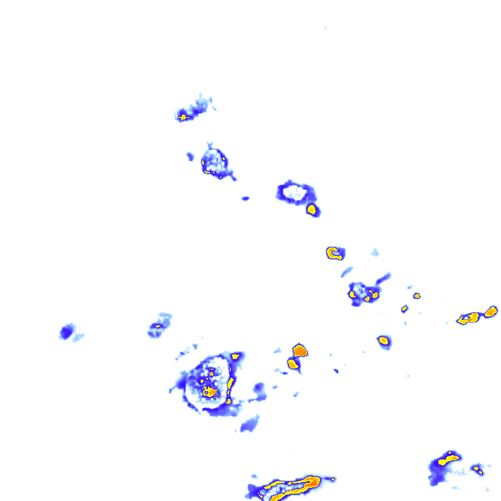 Image Layer