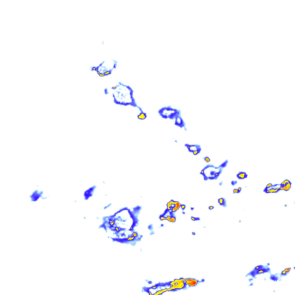 rainLayer