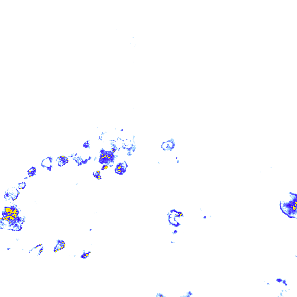 rainLayer