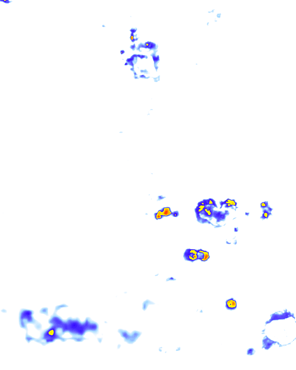 rainLayer