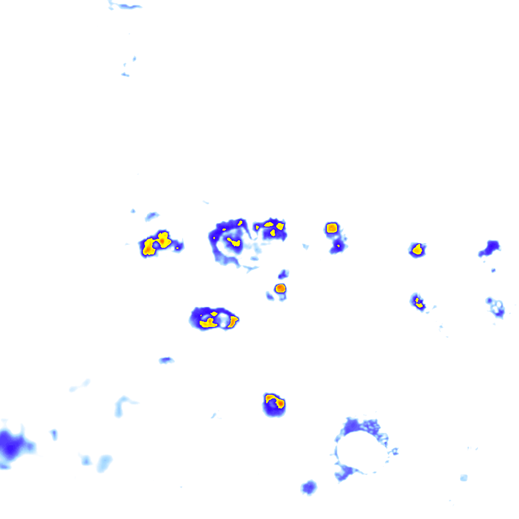 Image Layer