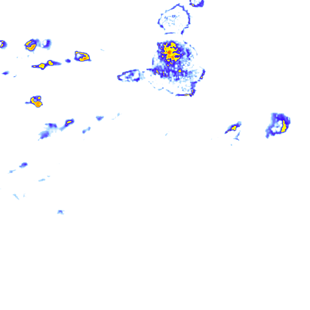 Image Layer