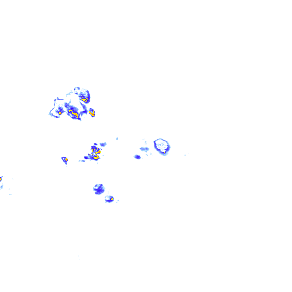 rainLayer