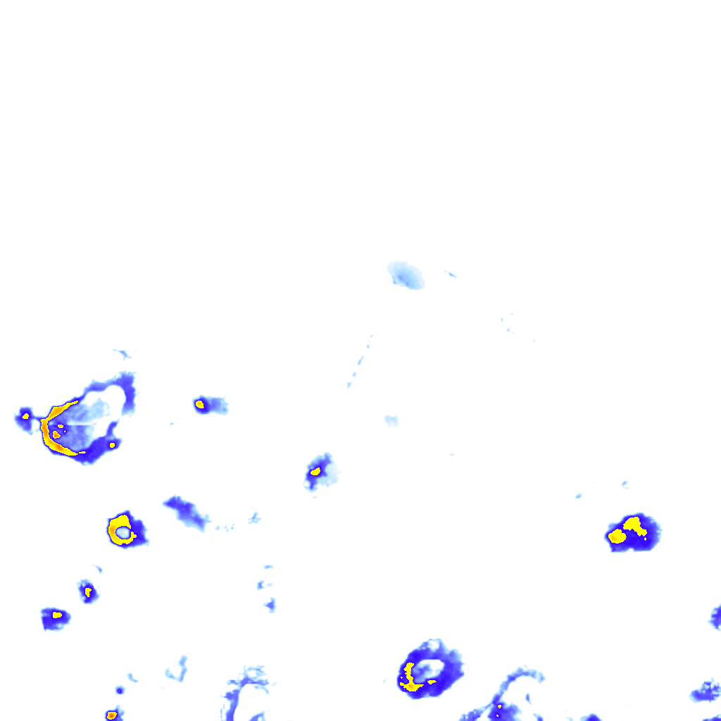 rainLayer