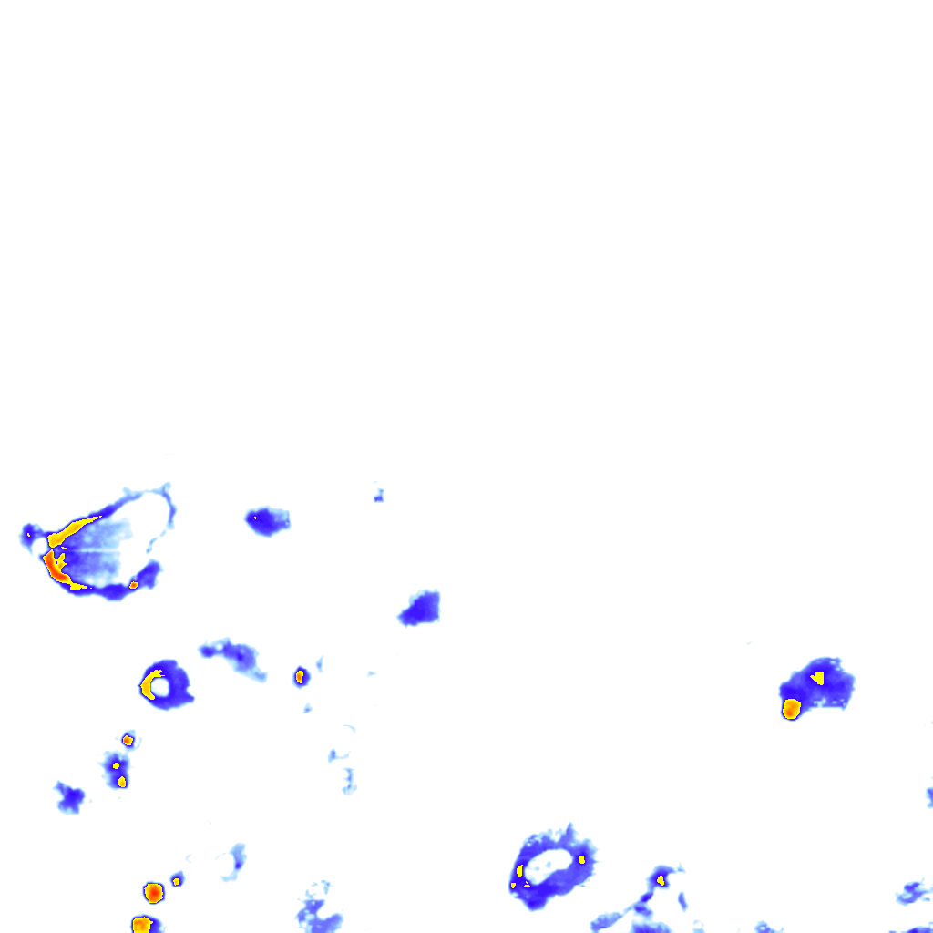 rainLayer