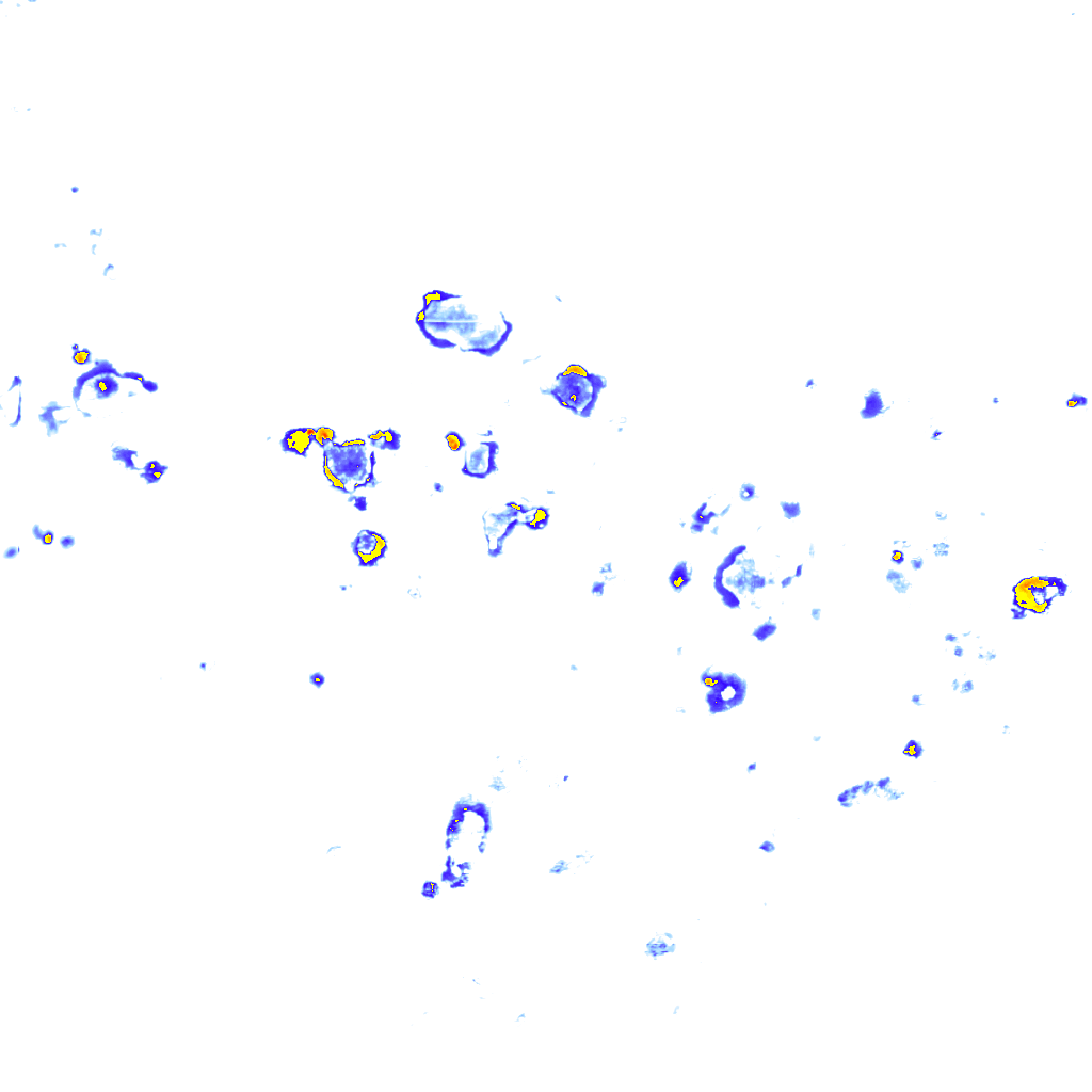 rainLayer