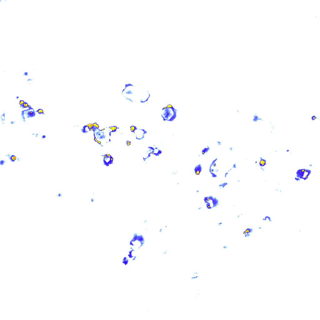 Image Layer