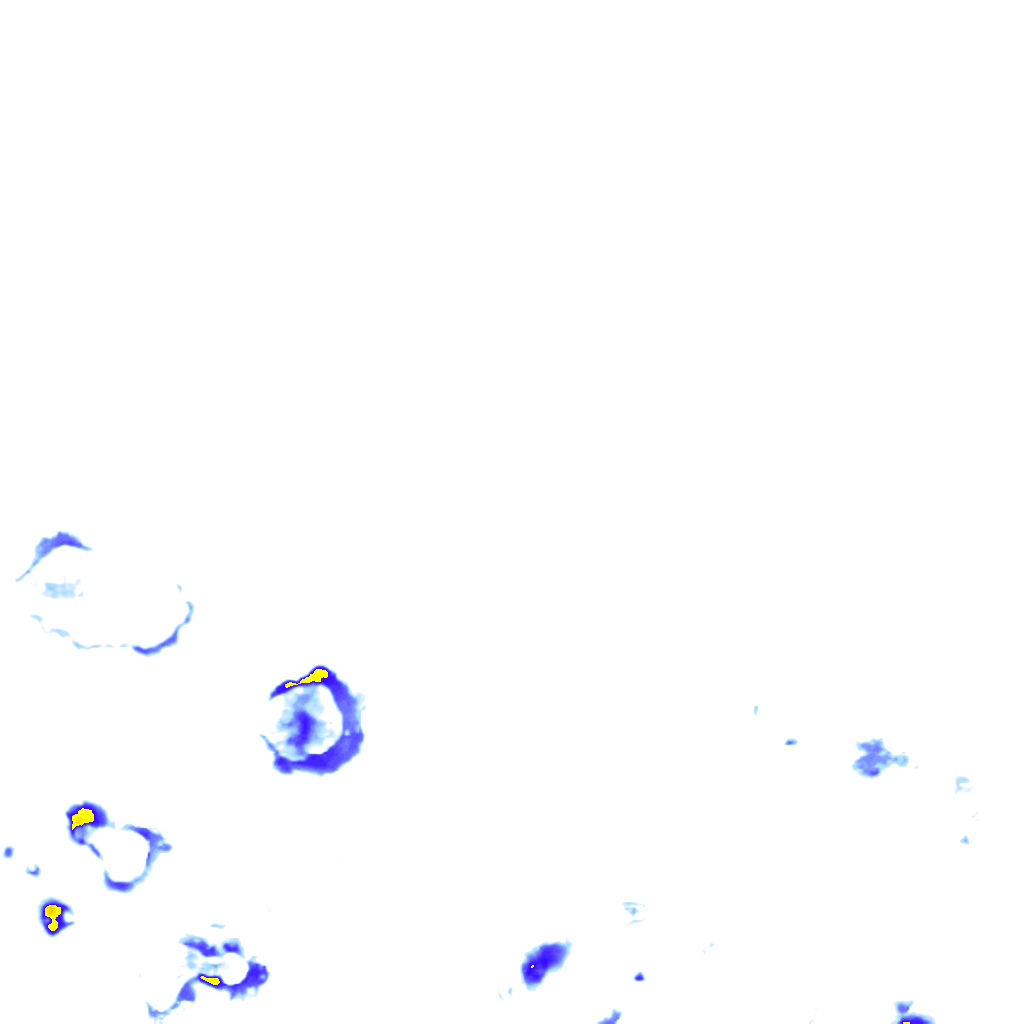 rainLayer