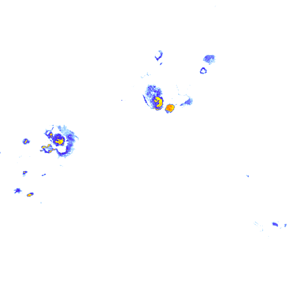 Image Layer