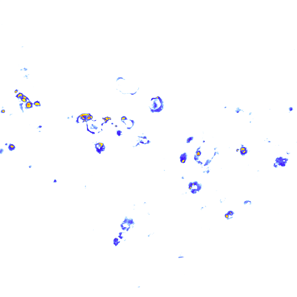 Image Layer