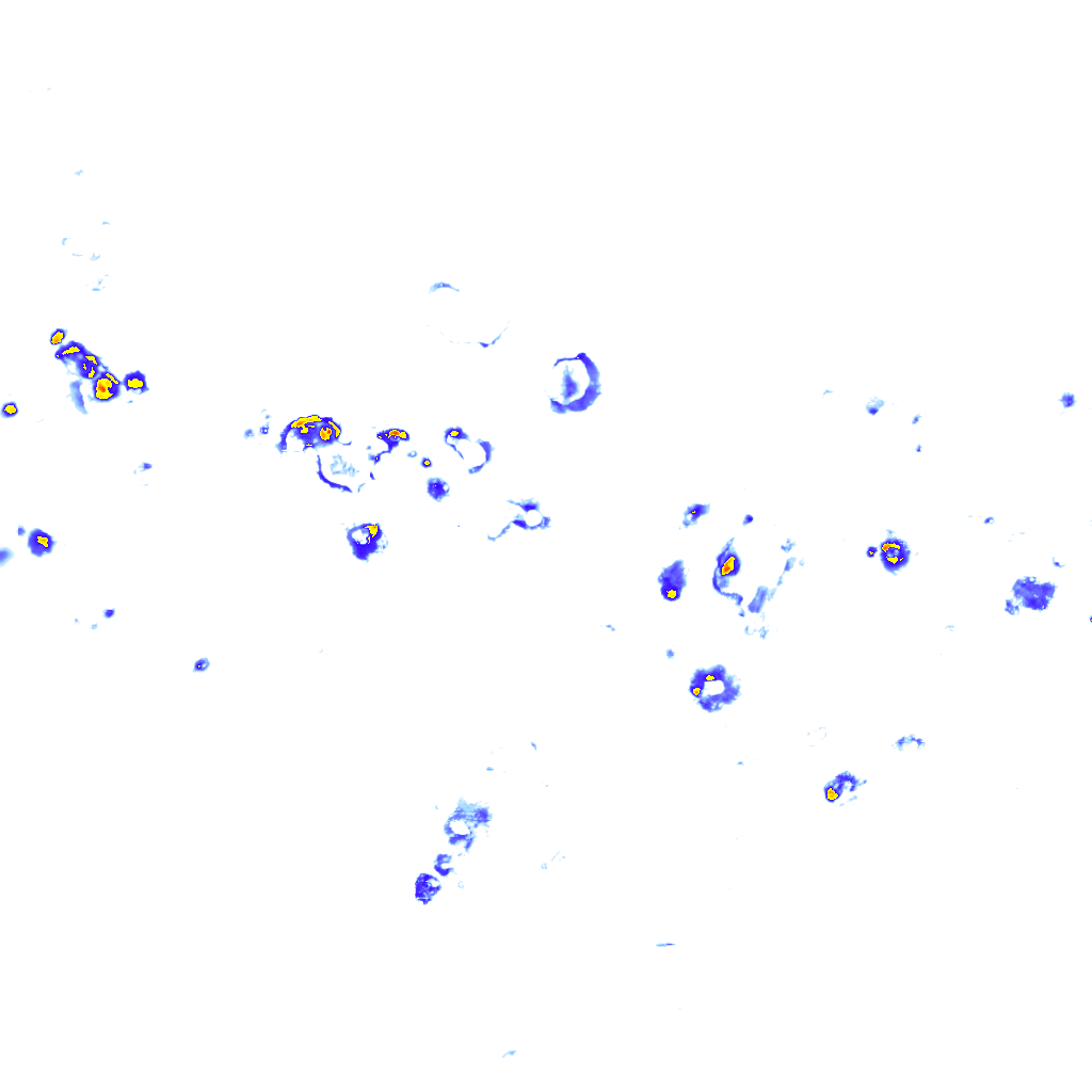 rainLayer