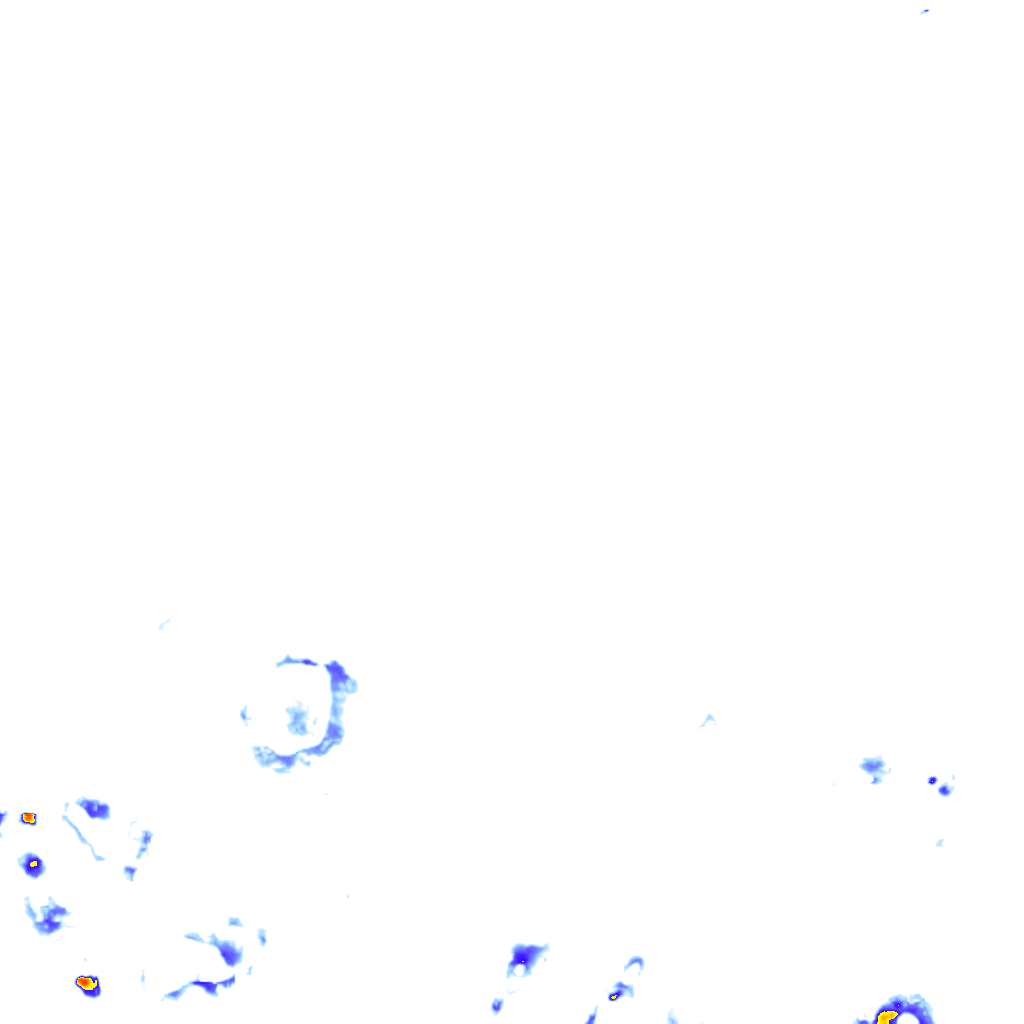 rainLayer