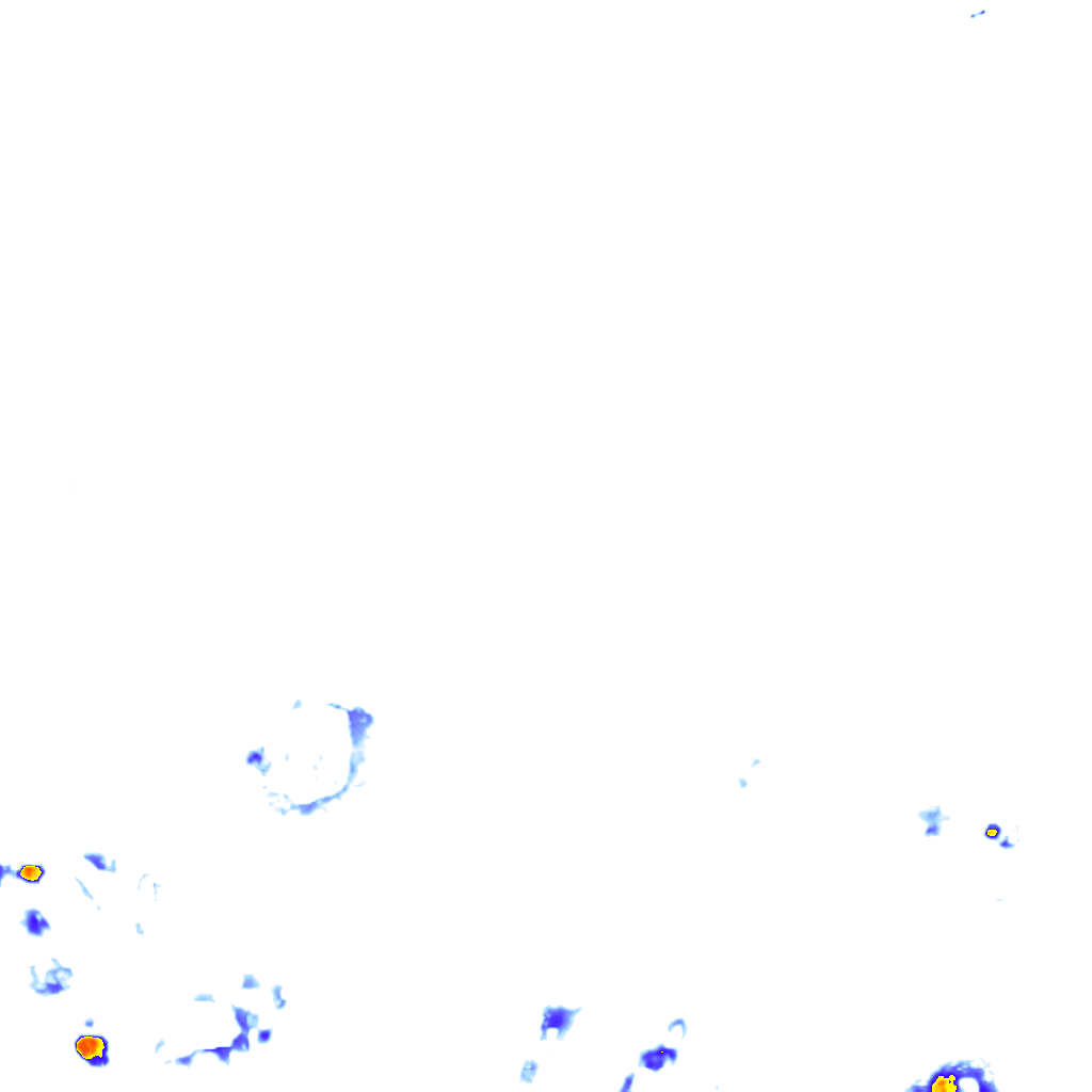 rainLayer