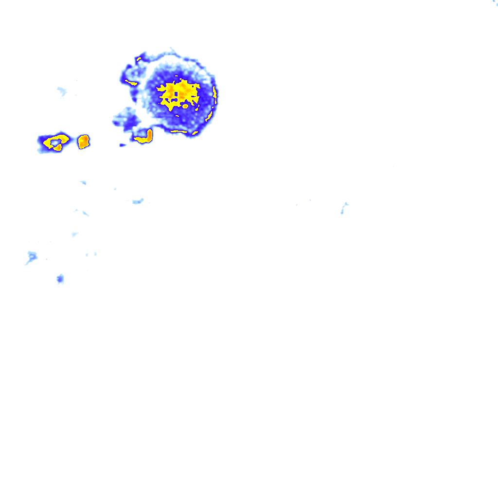 rainLayer
