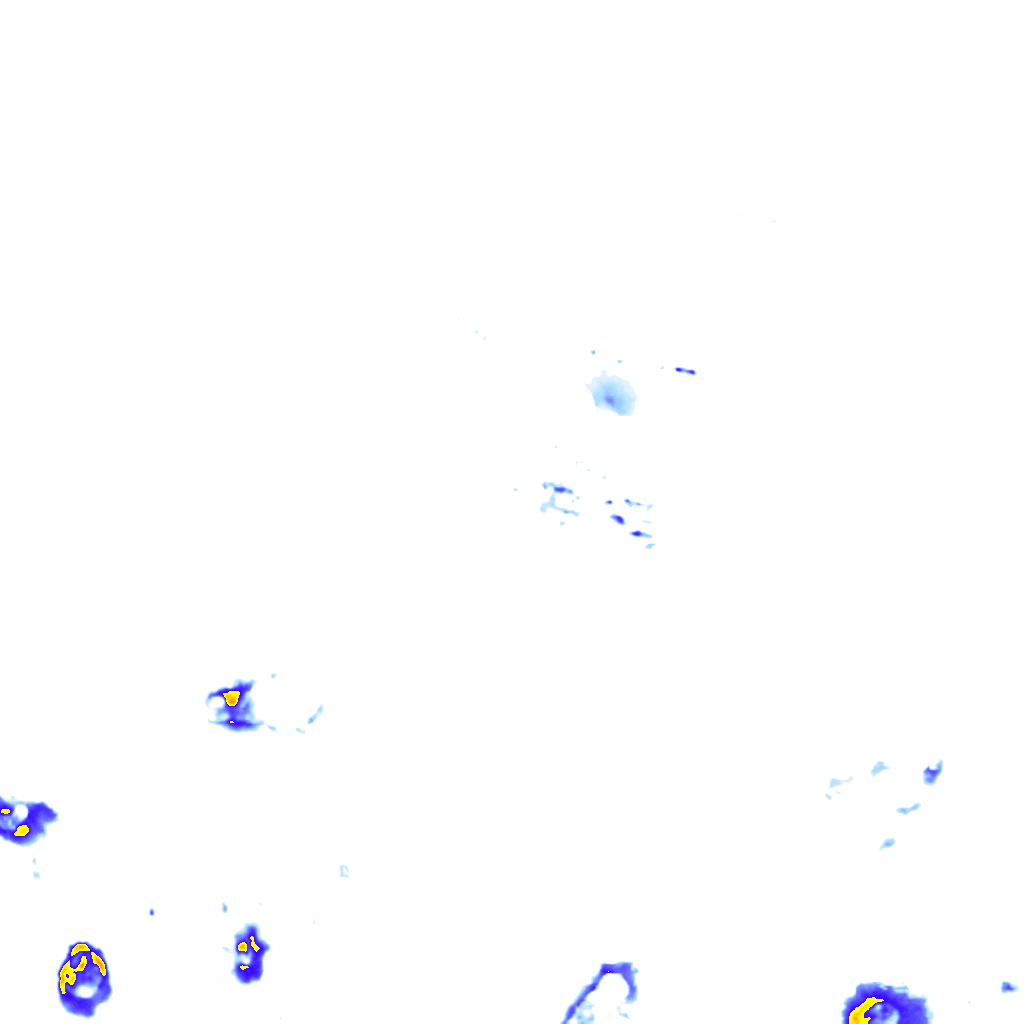rainLayer