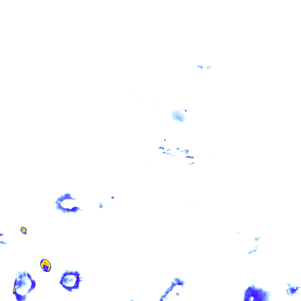rainLayer