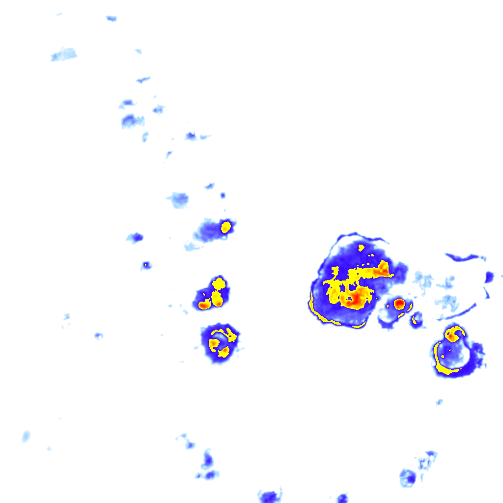 rainLayer