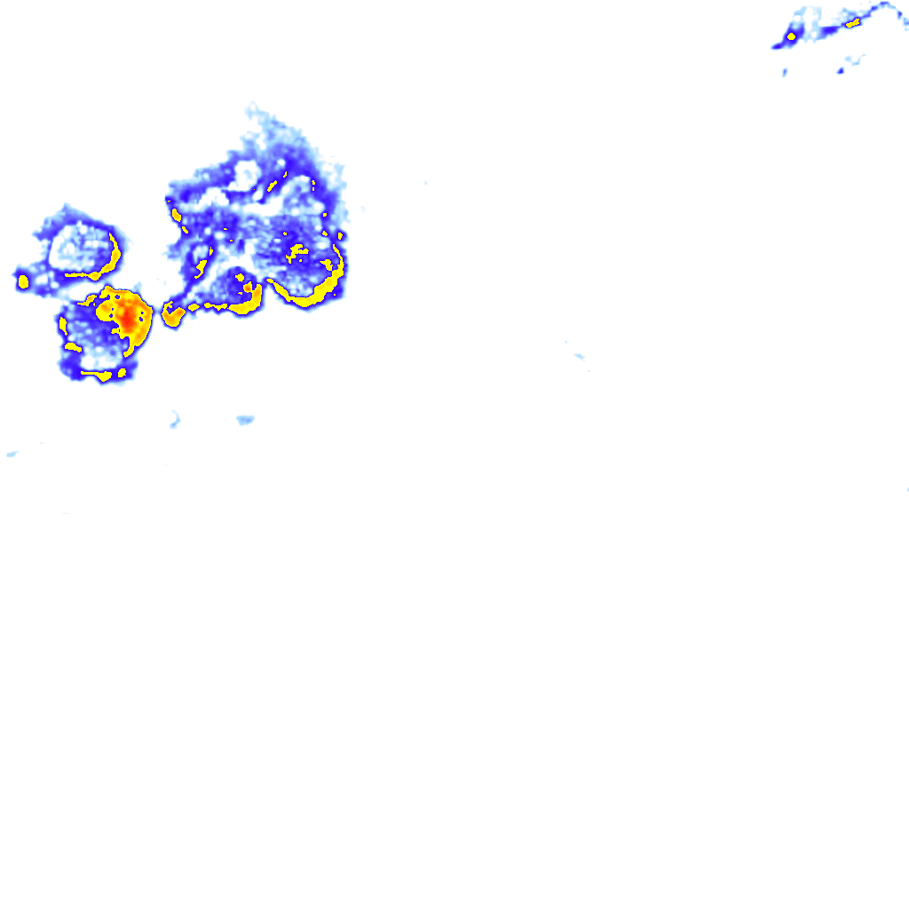 Image Layer