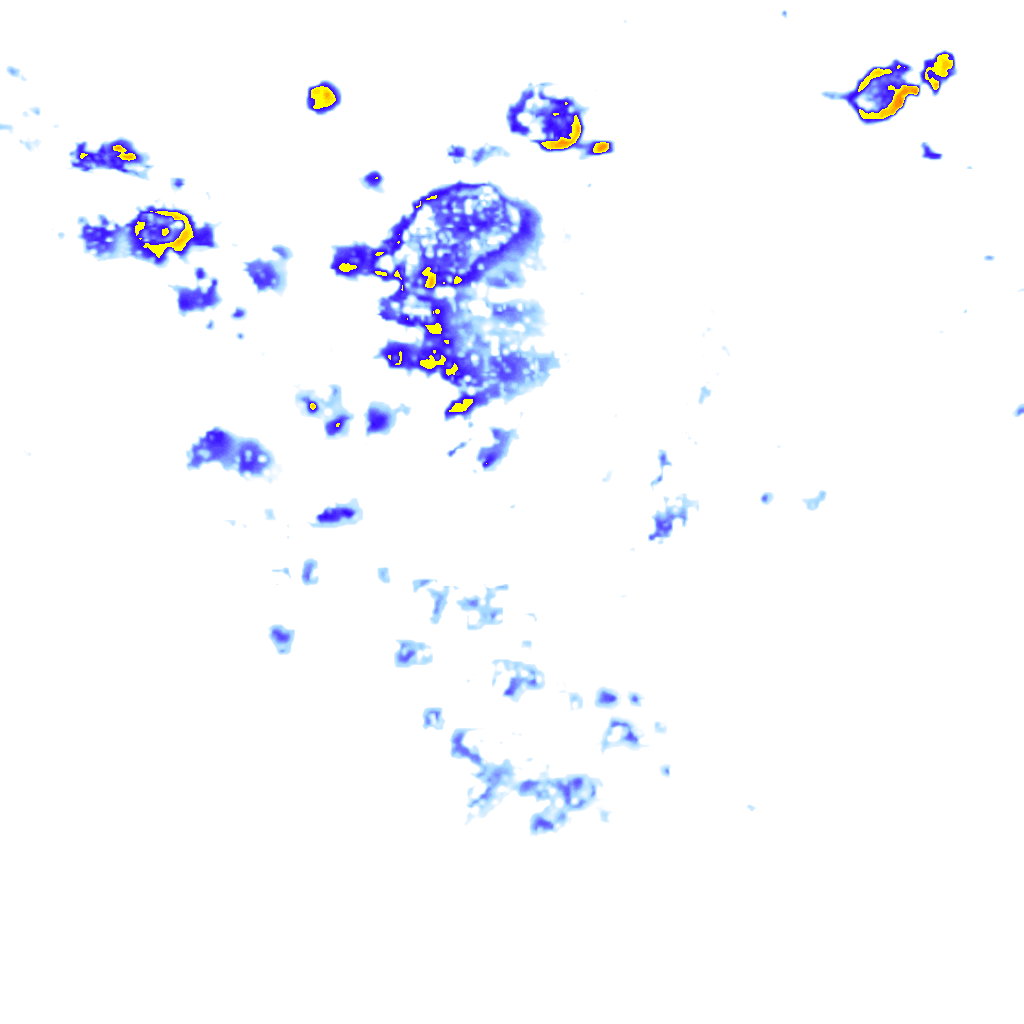 rainLayer
