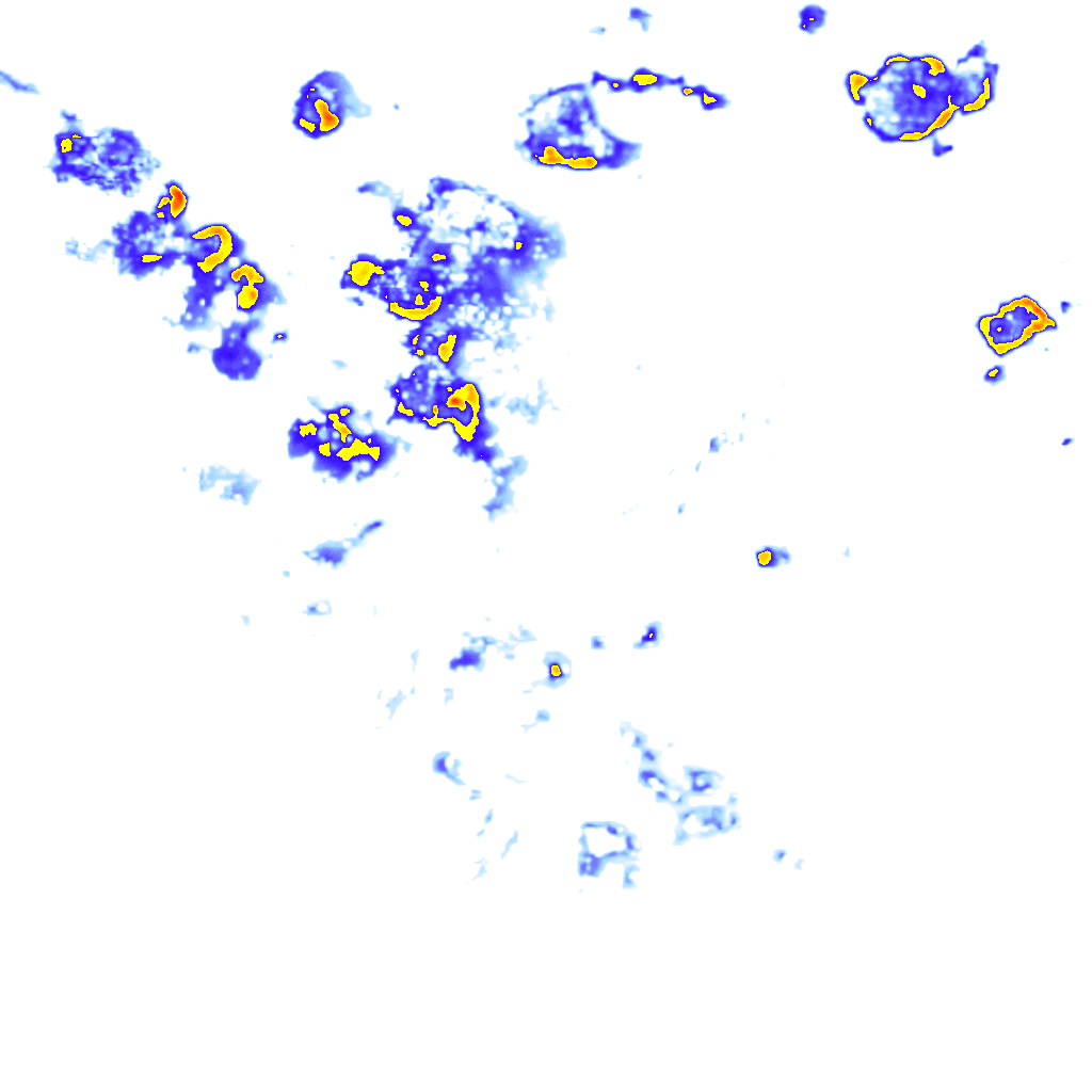 rainLayer