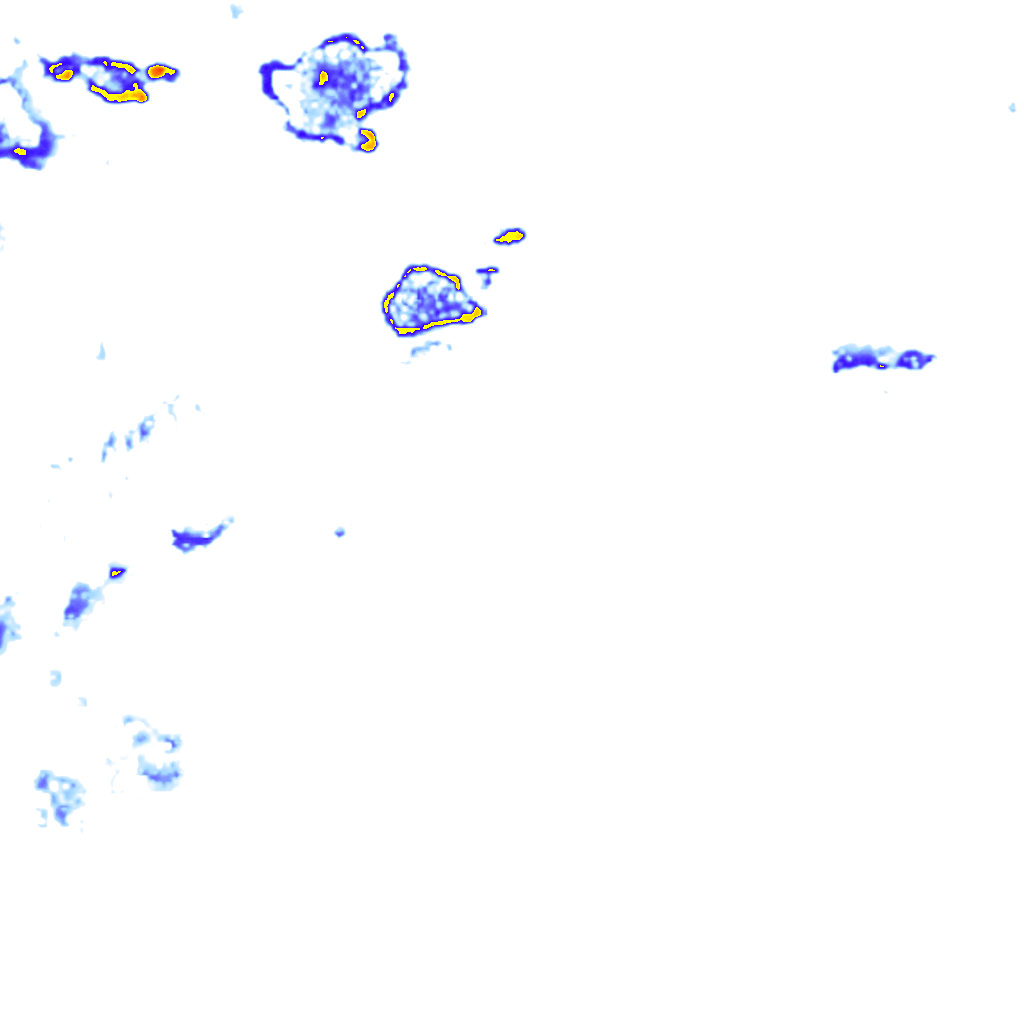 rainLayer